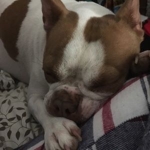 Meet your Posher, Kerry